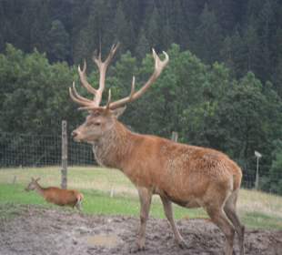 Kommt mir nicht zu nahe