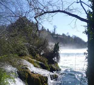 Rheinfall