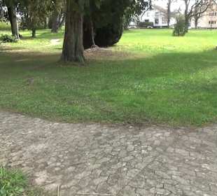 Schloss Königsegg Mittelzell