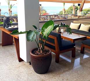 The Deck