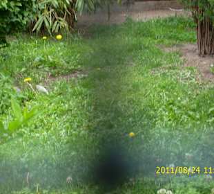 Besuch im Berliner Zoo