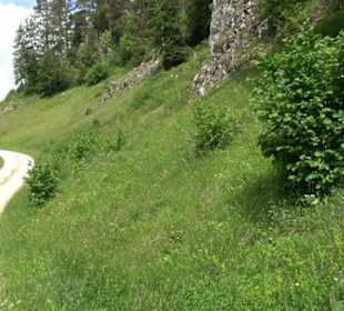 Premiumwanderweg "hochgehackert"