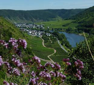 Blick vom Apolloweg nach Valwig