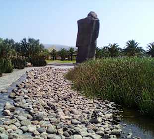 Parque del Sur in Maspalomas