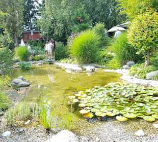 Sau viele Teiche lach