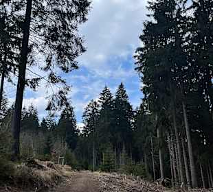Wandern Oberhof