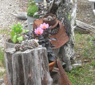 Sovintovaaran Huippu