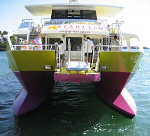 Starfish Glass Bottom Boat