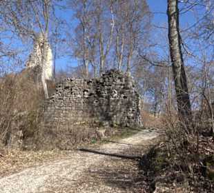 Burgruine Hohenstein
