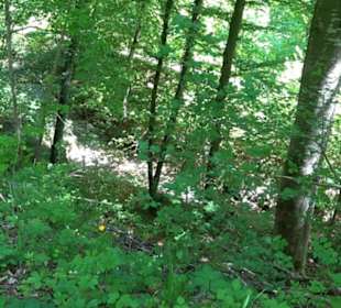Mittlerer Gönninger See