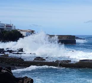 Wandern Puerto de la Cruz