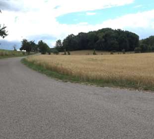 Wildgehege Holzelfingen