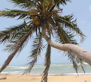 Strand von La Vacama