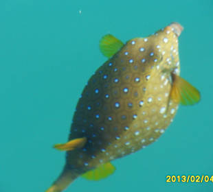 SUNRISE Grand Select Crystal Bay Resort