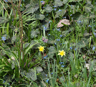 Anlage Planten un Blomen