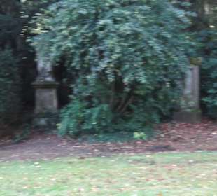 Gruftkirche der Fürsten zu Fürstenberg