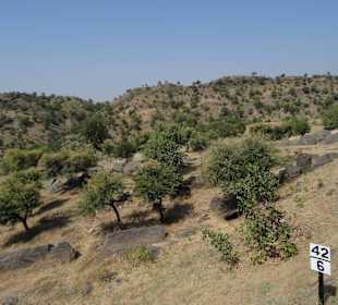 Blick in die Landschaft