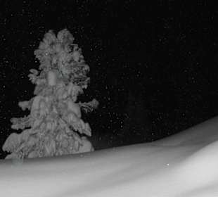 Skiregion Hochzillertal