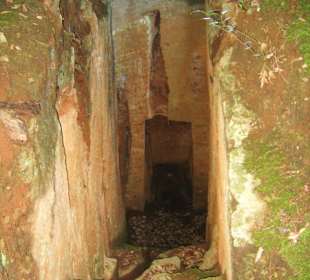 Einzelgrabkammer im Wald