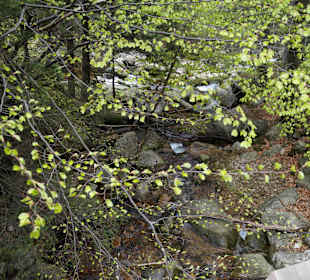 Berg Schneekoppe/Śnieżka