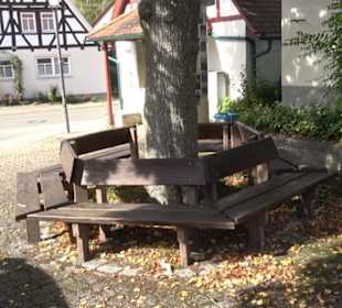 Backhaus Lonsingen