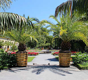 Pałac i ogród w Wilanowie