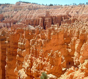 Bryce Canyon N.P.