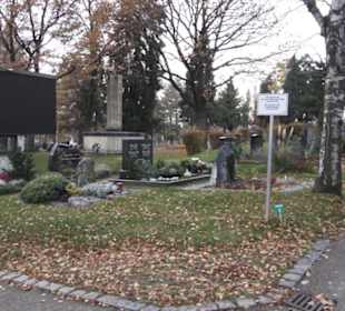 Friedhof