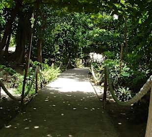 Ausflug-Cayo-Levantado