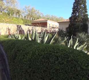 Real Jardín Botánico de Madrid