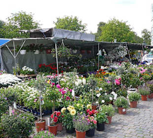 Blumenmarkt