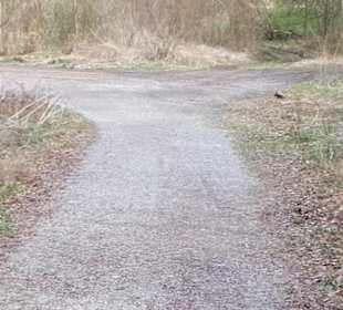 Hummelbergweg