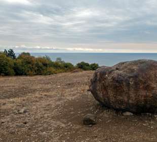 Rückweg über die Koppeln