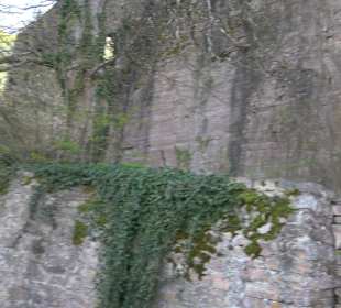 Altes Schloss Hohenbaden