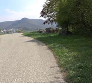 Kirschenheimat