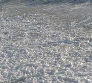 Марина де Пиза