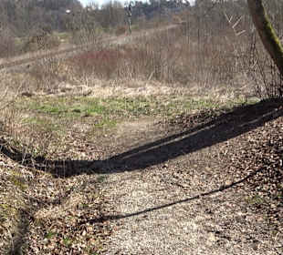 Fürstlicher Park Inzigkofen