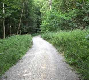Sonnenaufgangs-Rundwanderung Rübgarten