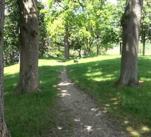 HAP Grieshaber Rundweg