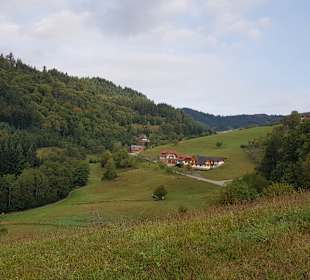 Wandern Mummelsee