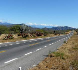 Rezerwat Biosfery Tehuacan