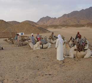 Ausflug in die Wüste
