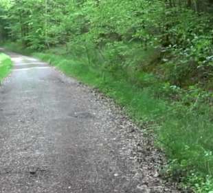 Naturpark Schönbuch