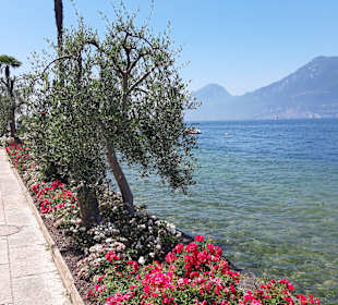 Strandpromenade Brenzone