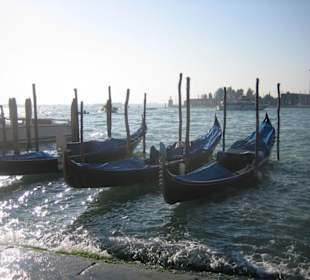 Gondoles à venise
