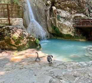 Traumhaft schöne Natur