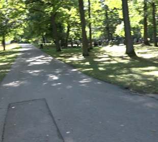 Neuer Friedhof Weilimdorf