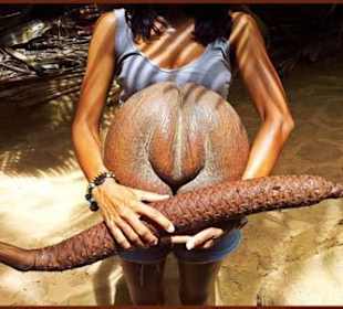 Coco de Mer im Vallee de Mai