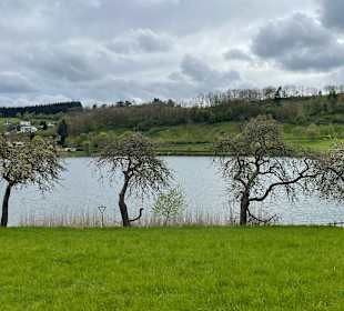 Schalkenmehrener Maar