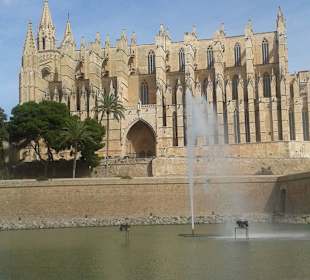 Palma Kathedrale!